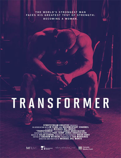 Poster de Transformer