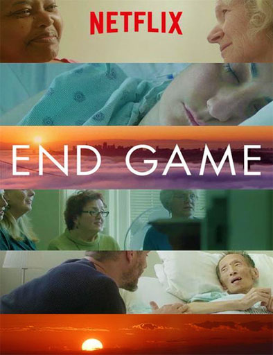 Poster de End Game (Final de partida)