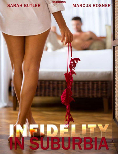Poster de Una infidelidad peligrosa