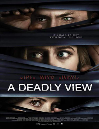 Poster de A Deadly View