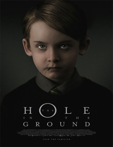 Poster de The Hole in the Ground (El bosque maldito)
