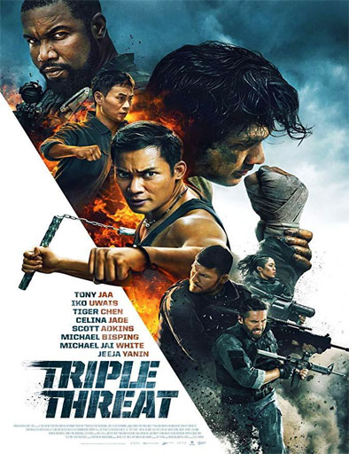 Poster de Triple Threat