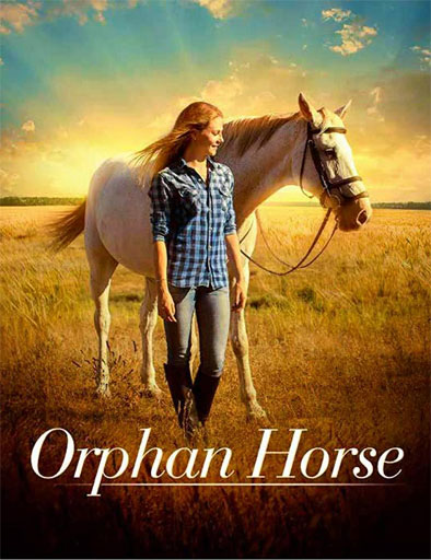 Poster de Orphan Horse