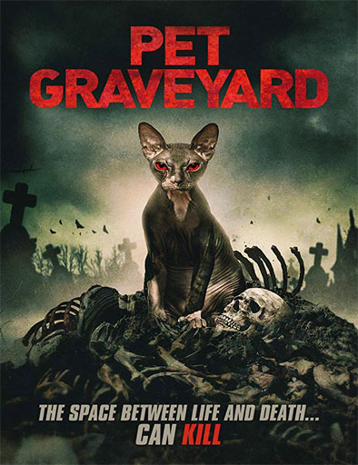 Poster de Pet Graveyard