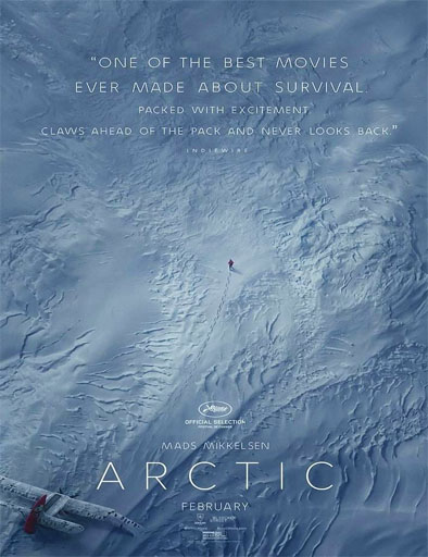 Poster de Arctic