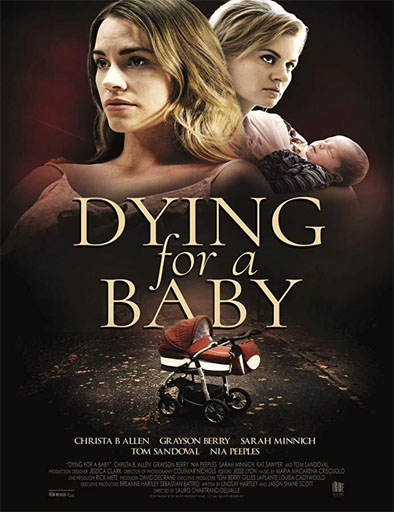 Poster de Dying for a Baby