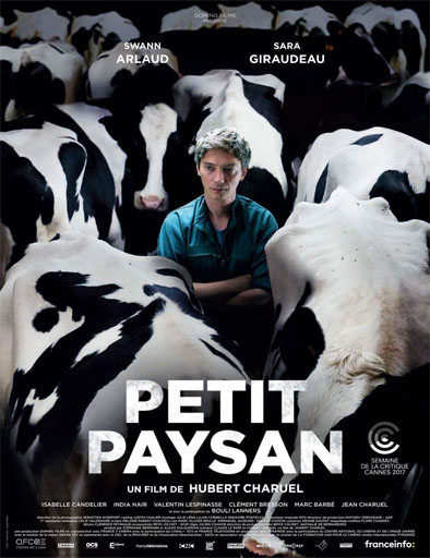 Poster de Petit paysan
