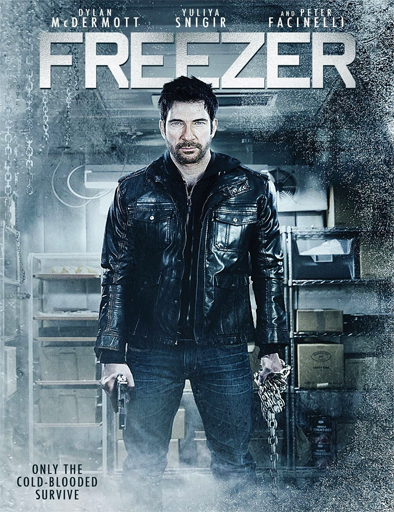 Poster de Freezer