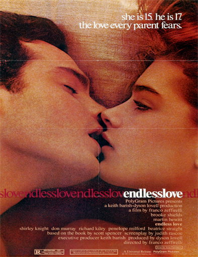 Poster de Endless Love (Amor eterno)