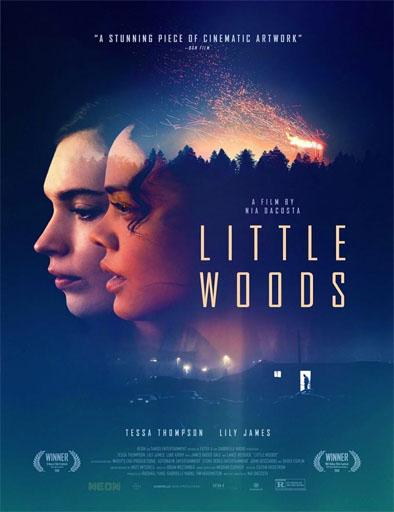 Poster de Little Woods