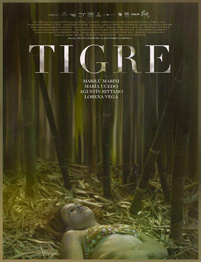 Poster de Tigre