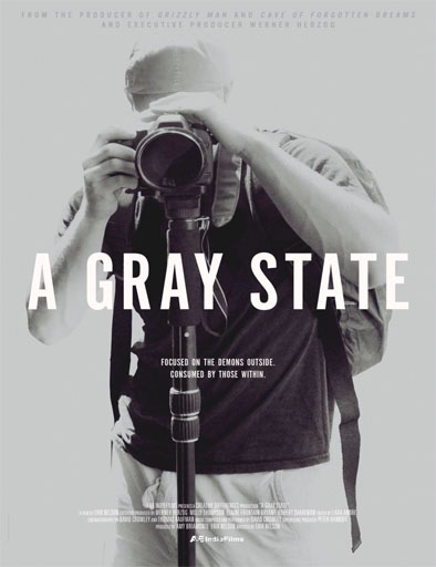 Poster de A Gray State