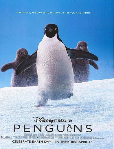 Poster de Penguins