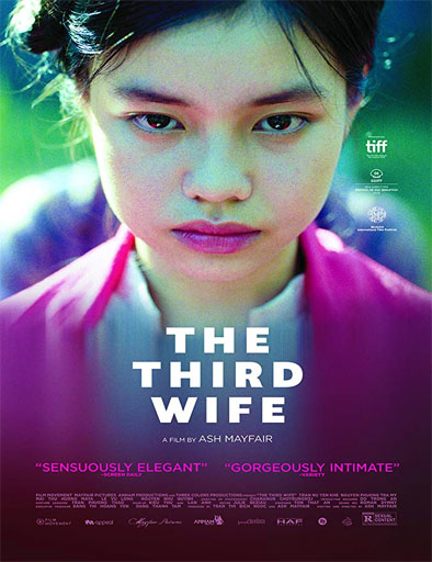 Poster de The Third Wife
