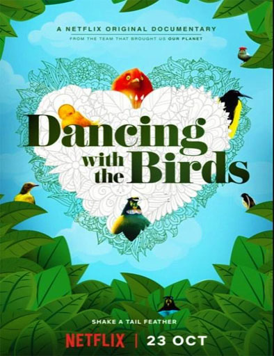 Poster de Dancing with the Birds