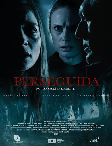 Poster de Perseguida
