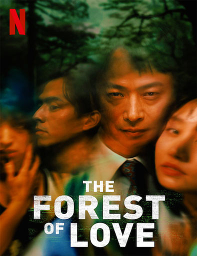 Poster de The Forest of Love