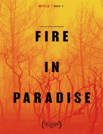 Poster de Fire in Paradise (Paradise en llamas)