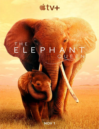 Poster de The Elephant Queen