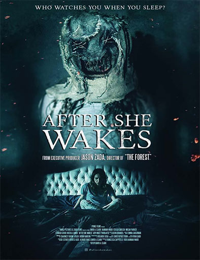 Poster de After She Wakes