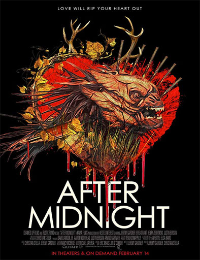 Poster de After Midnight