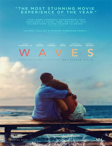 Poster de Waves