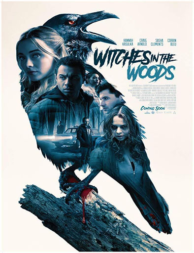 Poster de Witches in the Woods