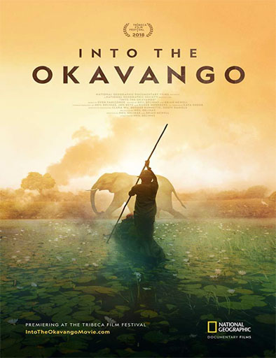 Poster de Into the Okavango
