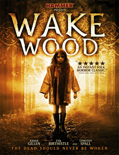 Poster de Wake Wood