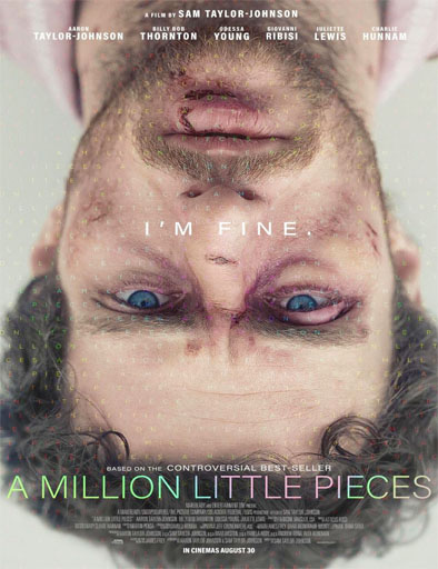 Poster de A Million Little Pieces