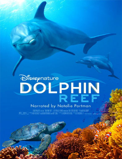 Poster de Dolphin Reef
