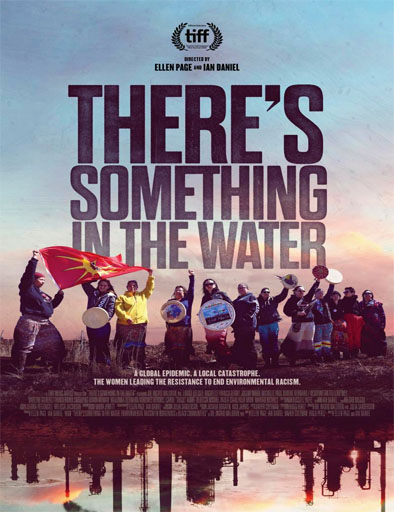 Poster de There's Something in the Water (Hay algo en el agua)