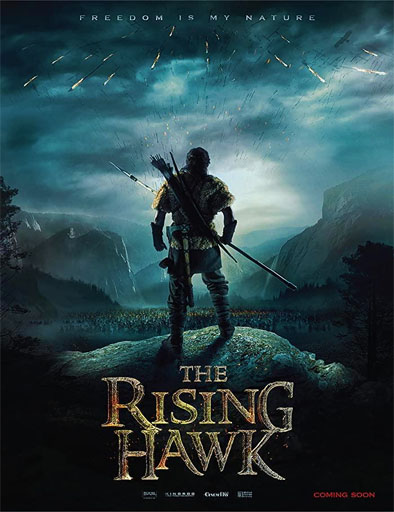 Poster de The Rising Hawk