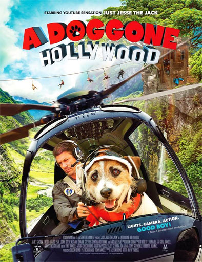 Poster de A Doggone Hollywood