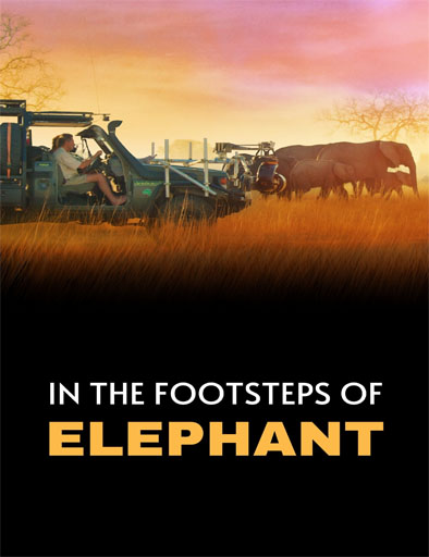 Poster de In the Footsteps of Elephant