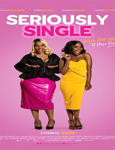 Poster de Seriously Single (Solterísima)