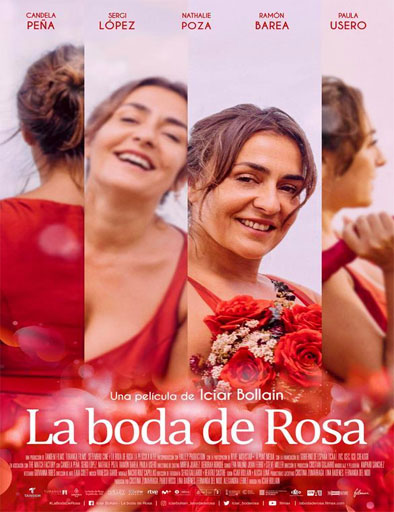 Poster de La boda de Rosa