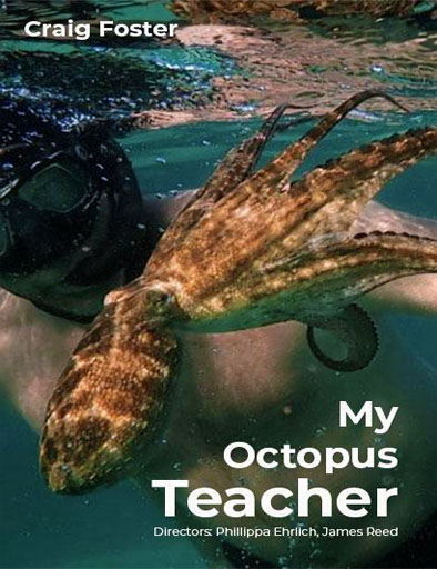 Poster de My Octopus Teacher (Mi maestro el pulpo)