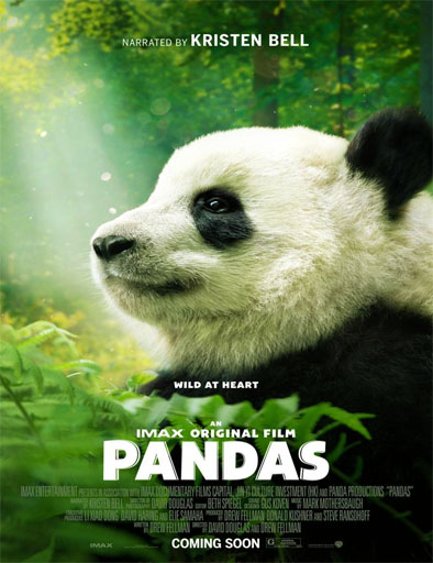 Poster de Pandas