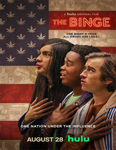 Poster de The Binge