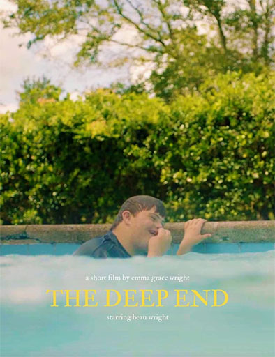 Poster de The Deep End