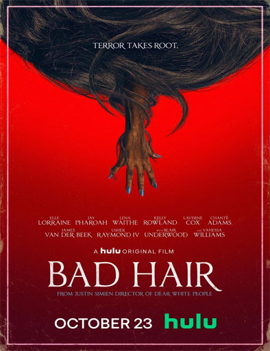Poster de Bad Hair