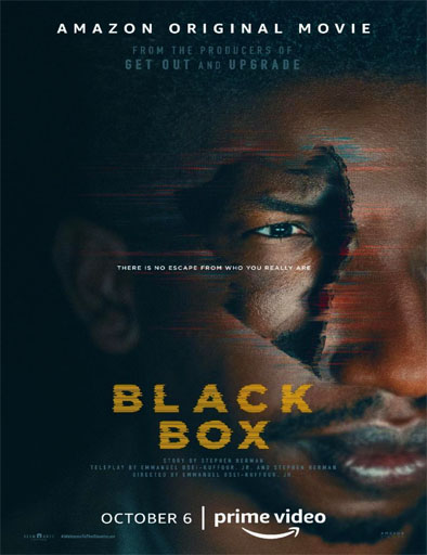 Poster de Black Box (La caja negra)