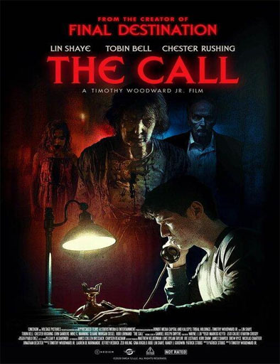 Poster de The Call