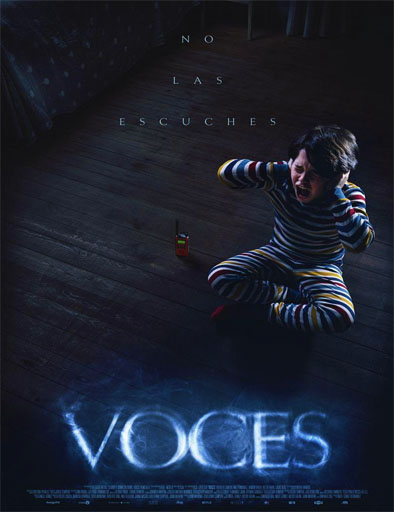 Poster de Voces
