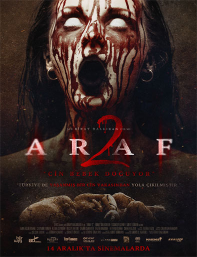 Poster de Araf 2