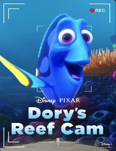 Poster de Dory's Reef Cam