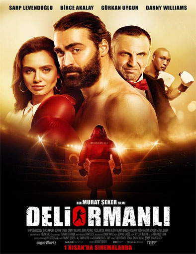 Poster de Deliormanli