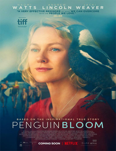 Poster de Penguin Bloom