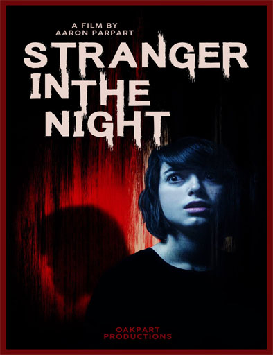 Poster de Stranger in the Night